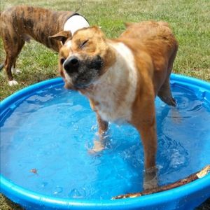 Meet your Posher, Allyson